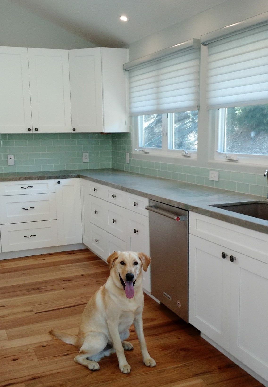 Beautiful Window Shadings