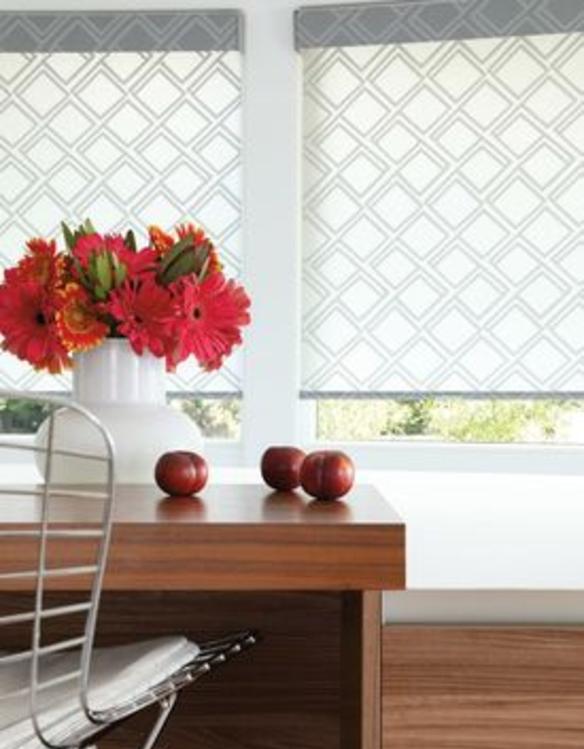 Designer Roller Shades