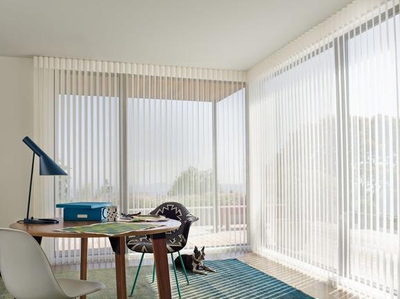 Hunter Douglas Luminette Shadings in the office