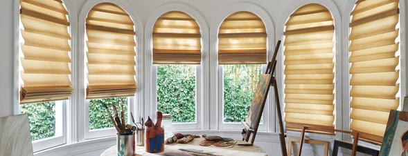 Hunter Douglas Window Shades