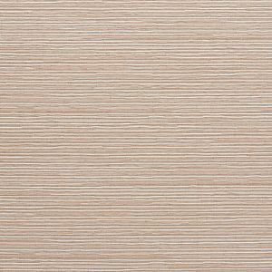 roller shades by window spaces in carlsbad