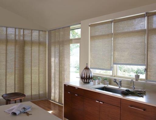​​Hunter Douglas Designer Roller Shades