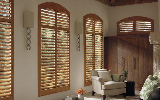 Arched Basswood Shutters Del Mar, CA living room.