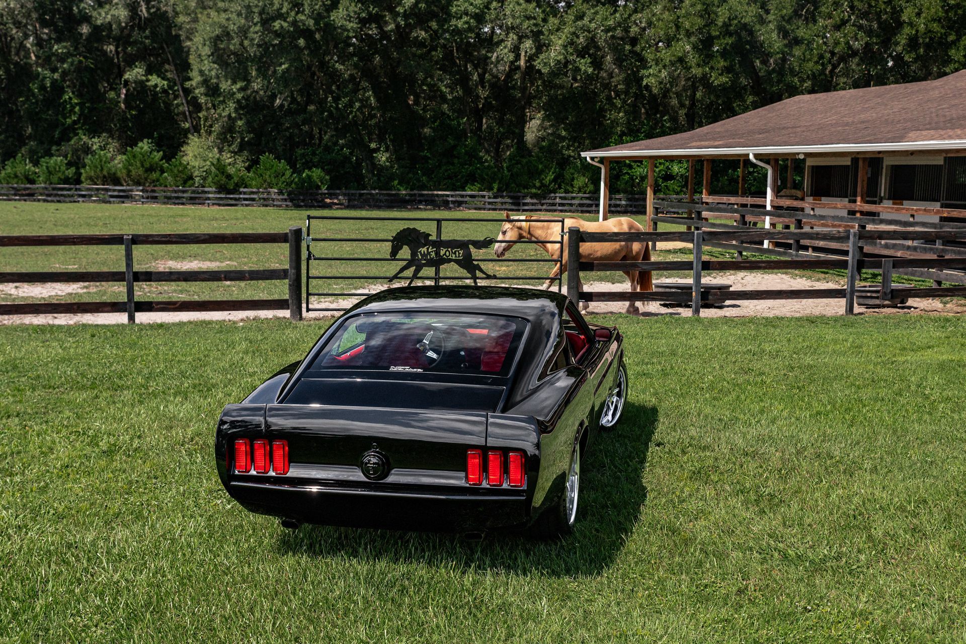 A black Ford Mustang parked on a grassy field in front of a fenced stable with a horse nearby.