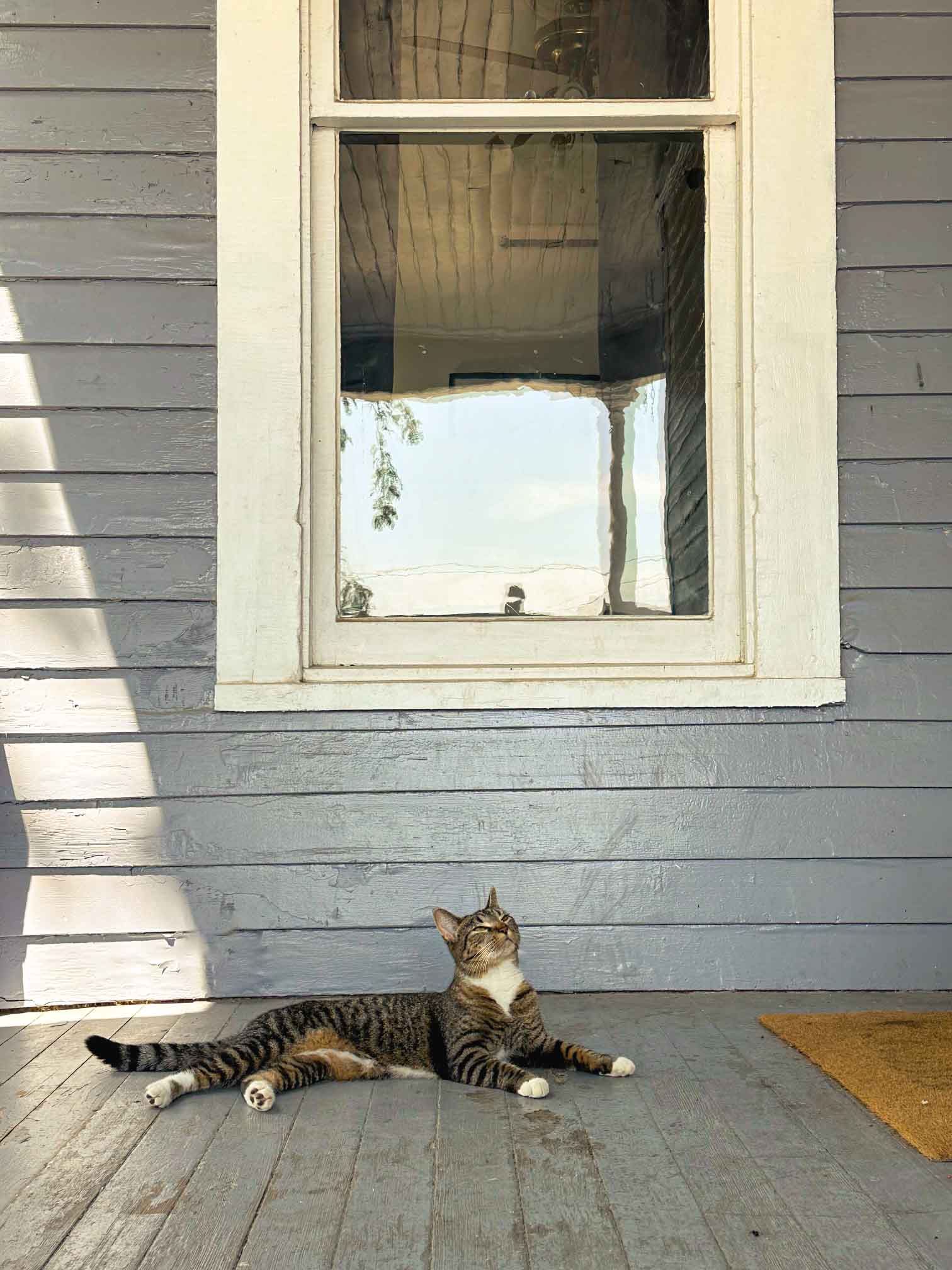 A cat is laying on a porch in front of a window.