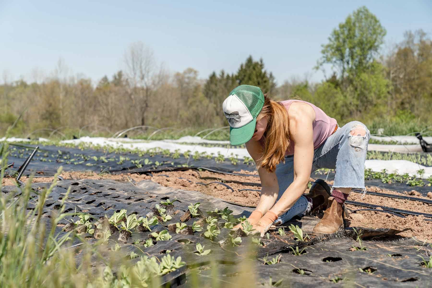 A woman is kneeling down in a field of plants.