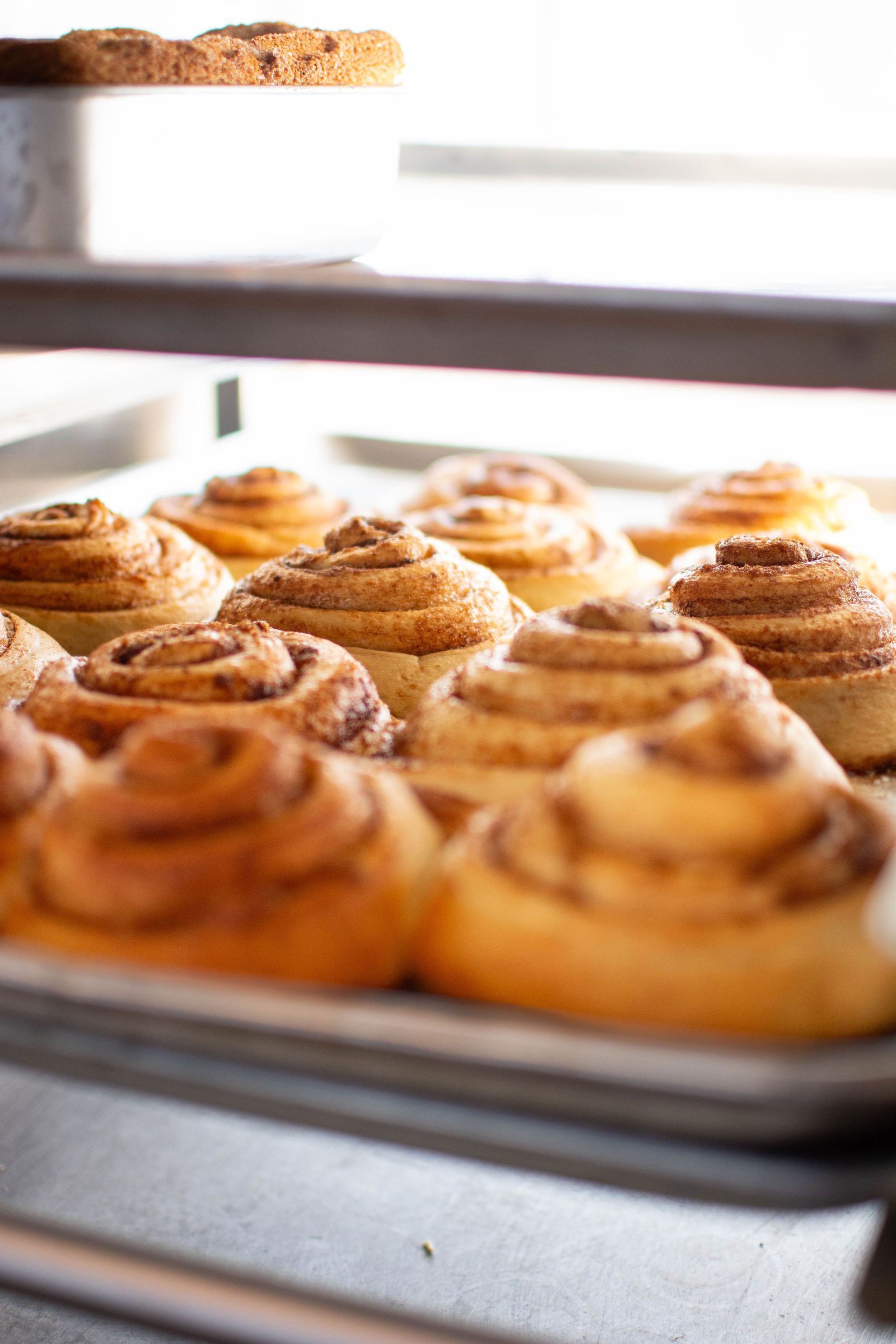 Cinnamon rolls on a baking sheet, golden brown with visible layers.