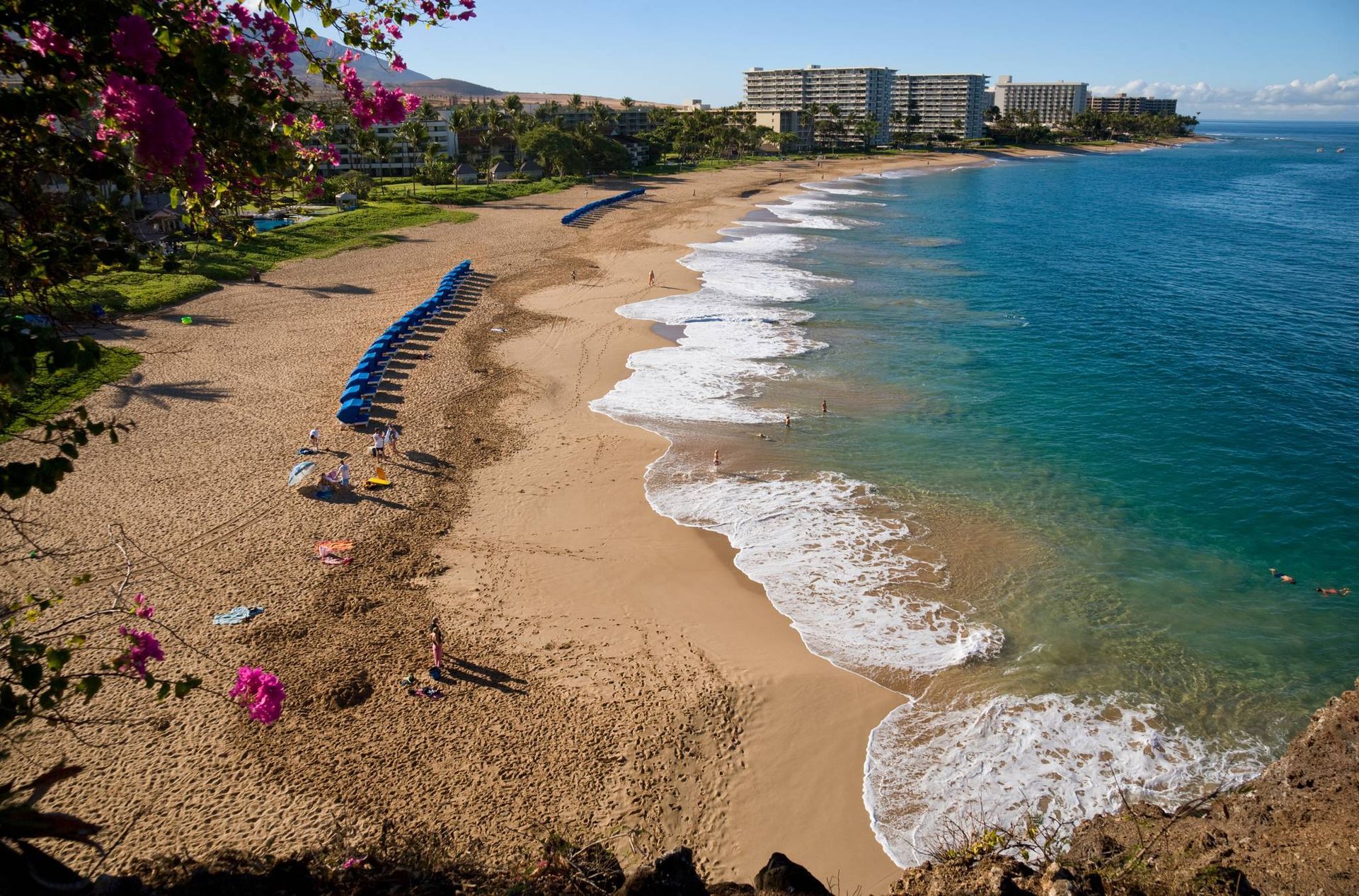 A beach with a lot of chairs and umbrellas on it