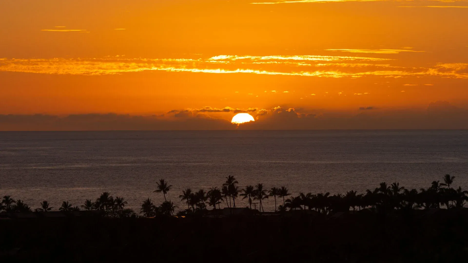 The sun is setting over the ocean with palm trees in the foreground.