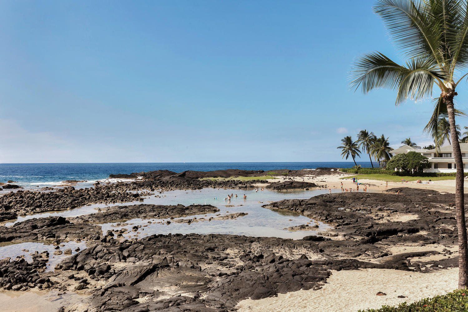Beach with dark rocks, calm water, sand, palm trees, and blue sky.