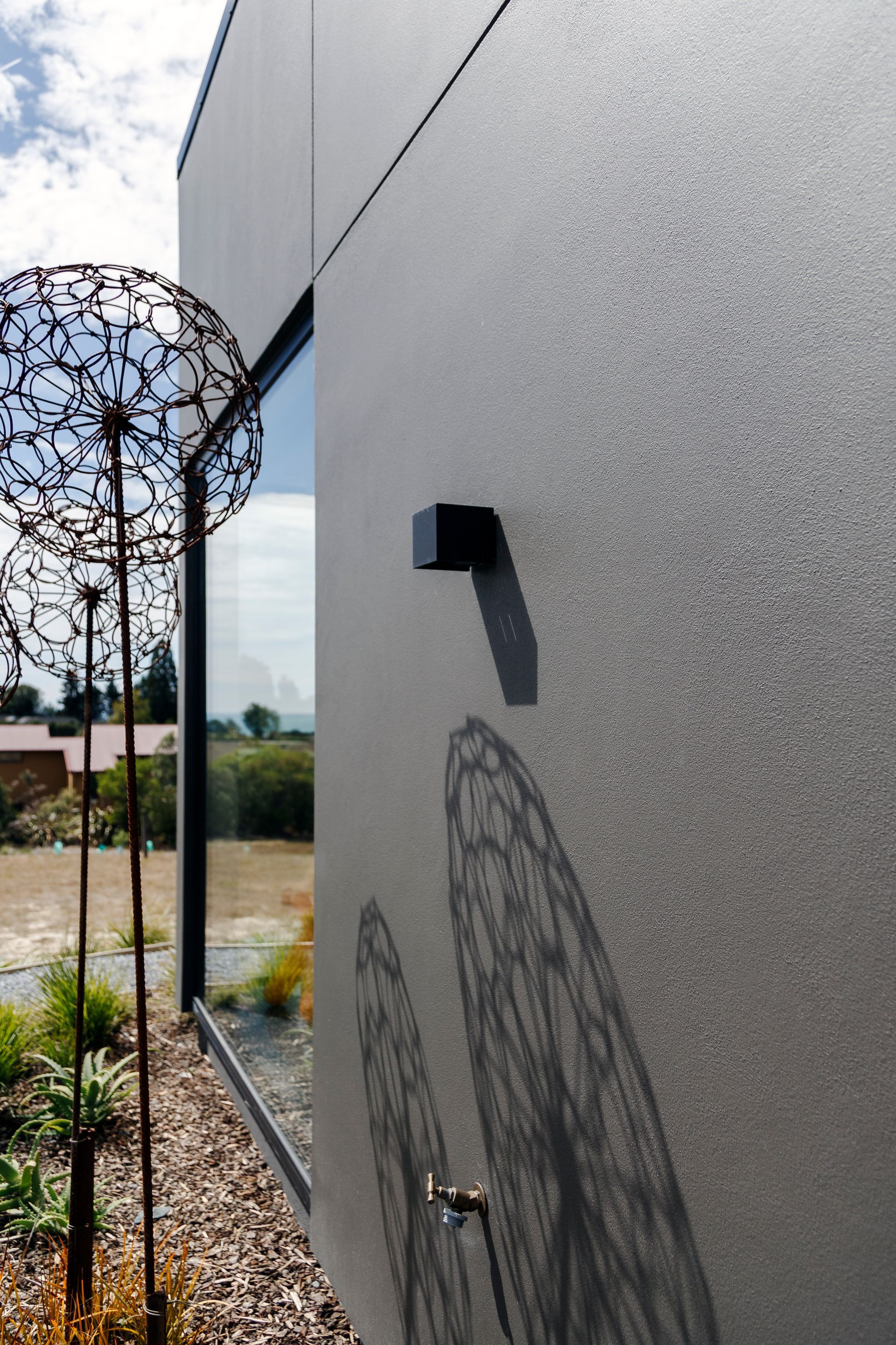 A shadow of a dandelion is cast on the side of a building