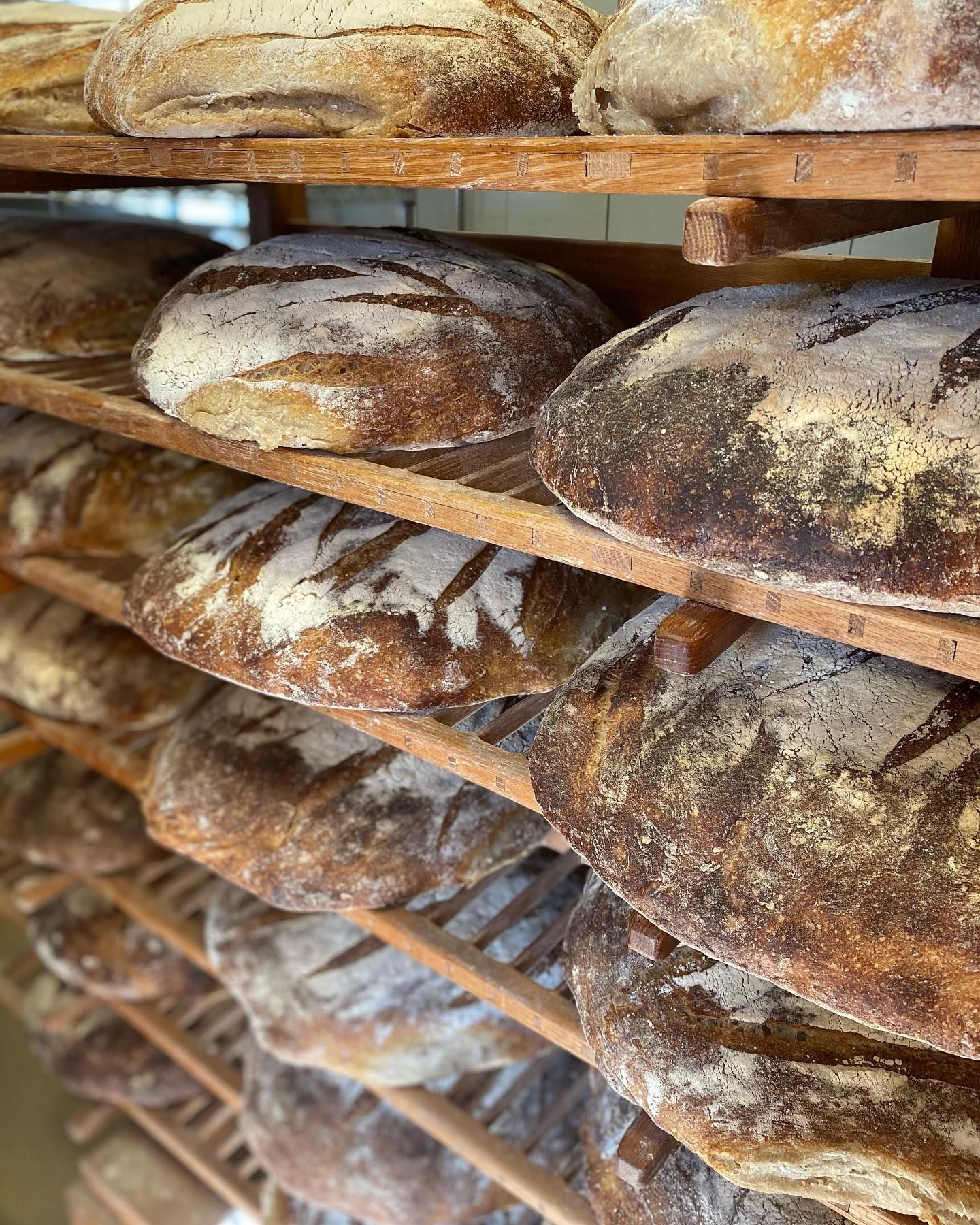 Many loaves of bread are sitting on wooden shelves in a bakery.