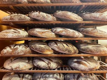 Loaves of Miche bread are sitting on a shelf in a bakery