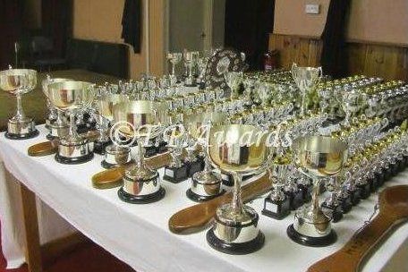 Row of cup trophies set out