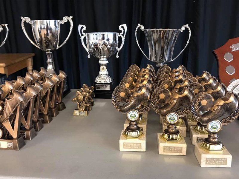 Rows of cups and small trophies on table