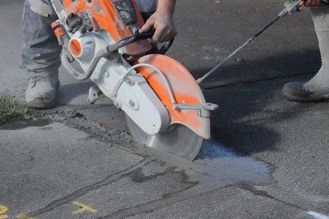 Person spraying tree trunk with a hose, tools laid nearby in a yard.