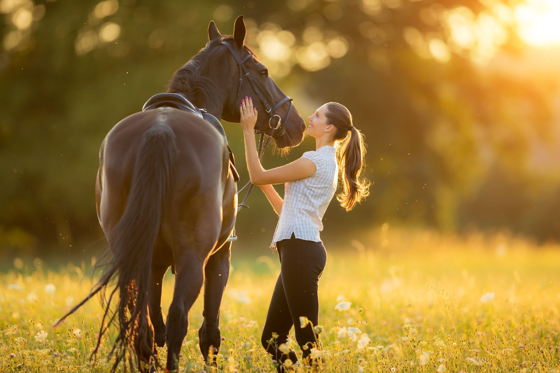 Therapy with horses