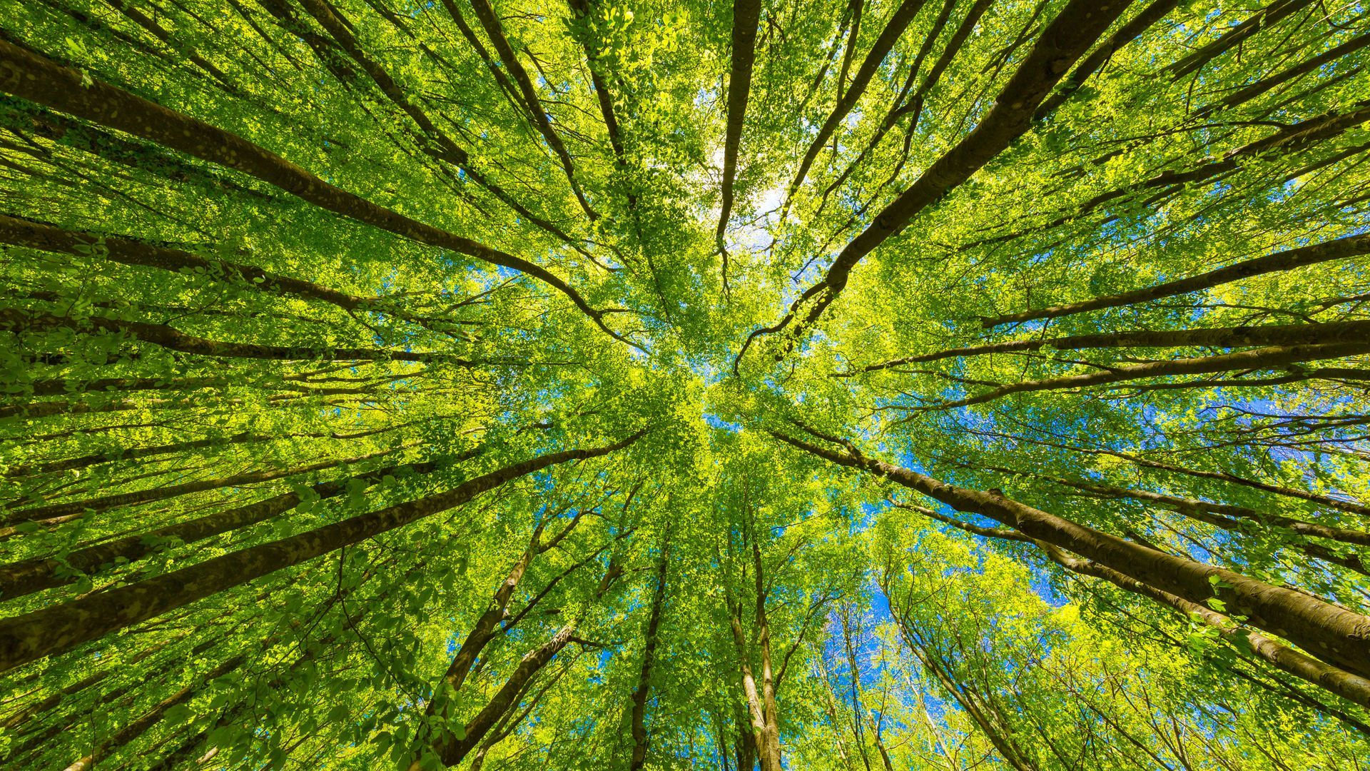 Nature Based Therapy in Boulder
