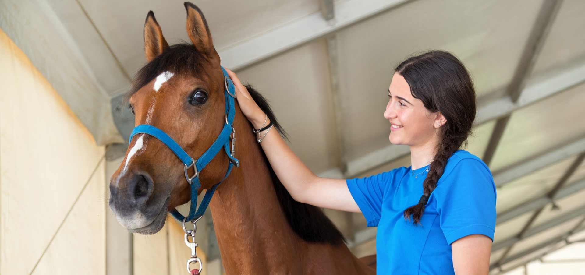 Therapy through horses 