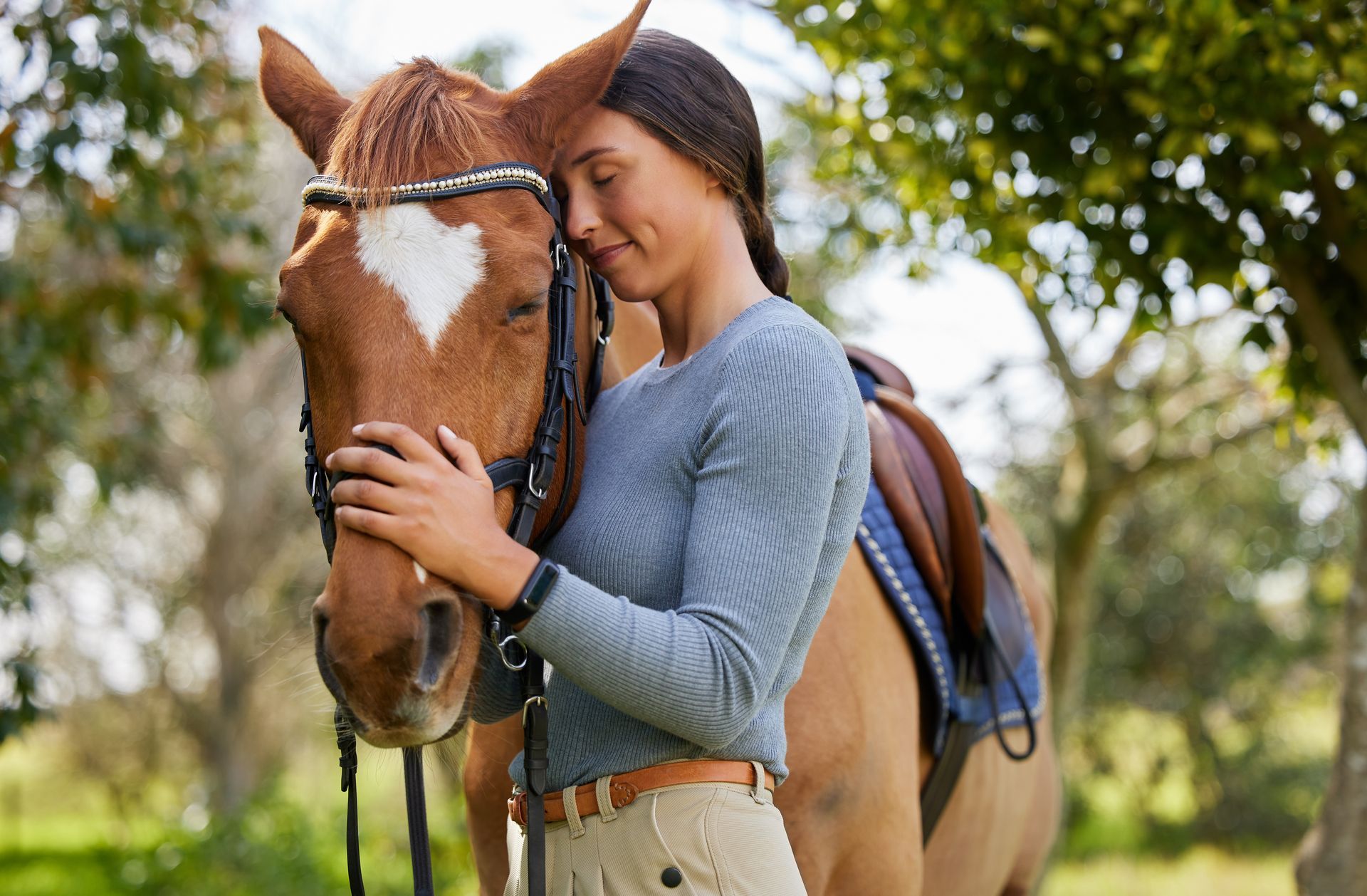 Therapy through Horses