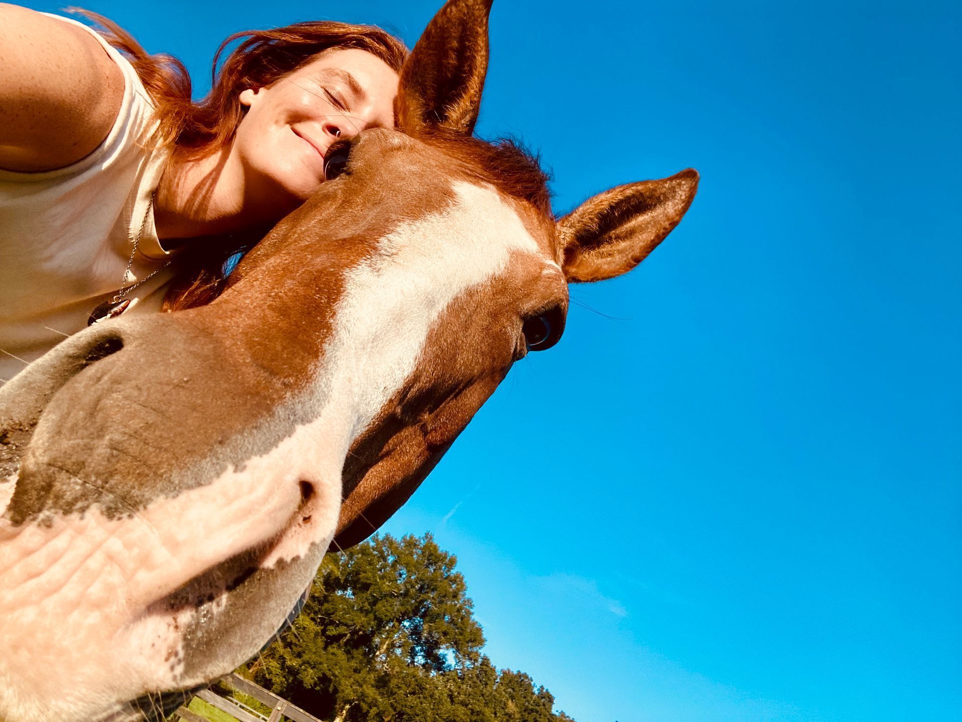 Equine Assisted Therapy in Boulder