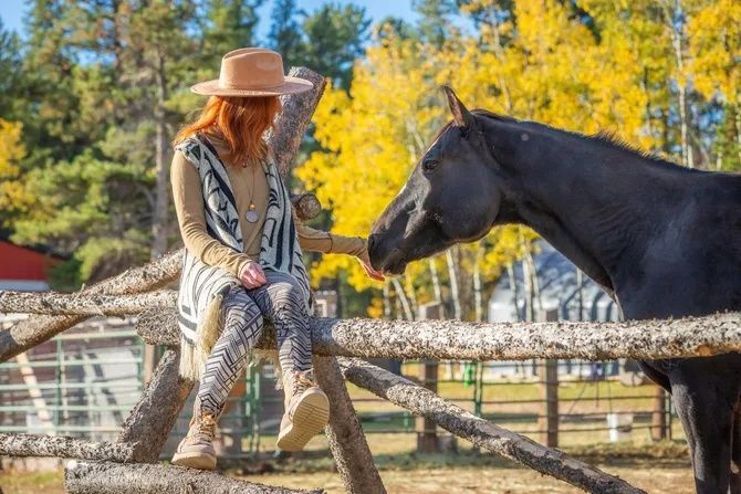 A person in a hat and patterned vest sits on a rustic wooden fence, offering a treat to a black horse in a sunny forest.
