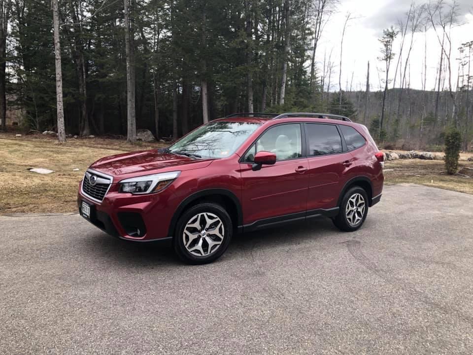 professional detailing