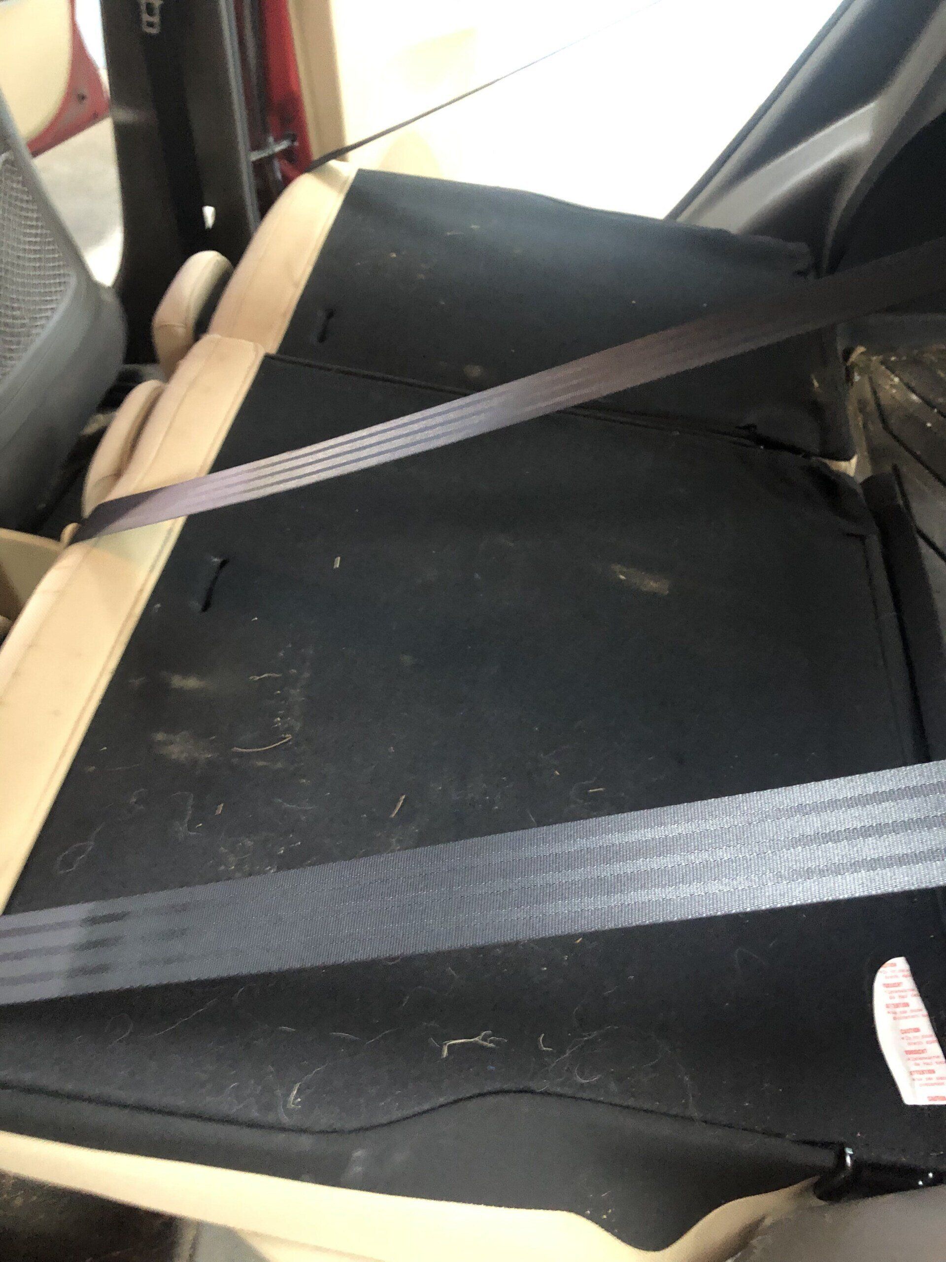 Complete Interior Shampooing and Deodorizing