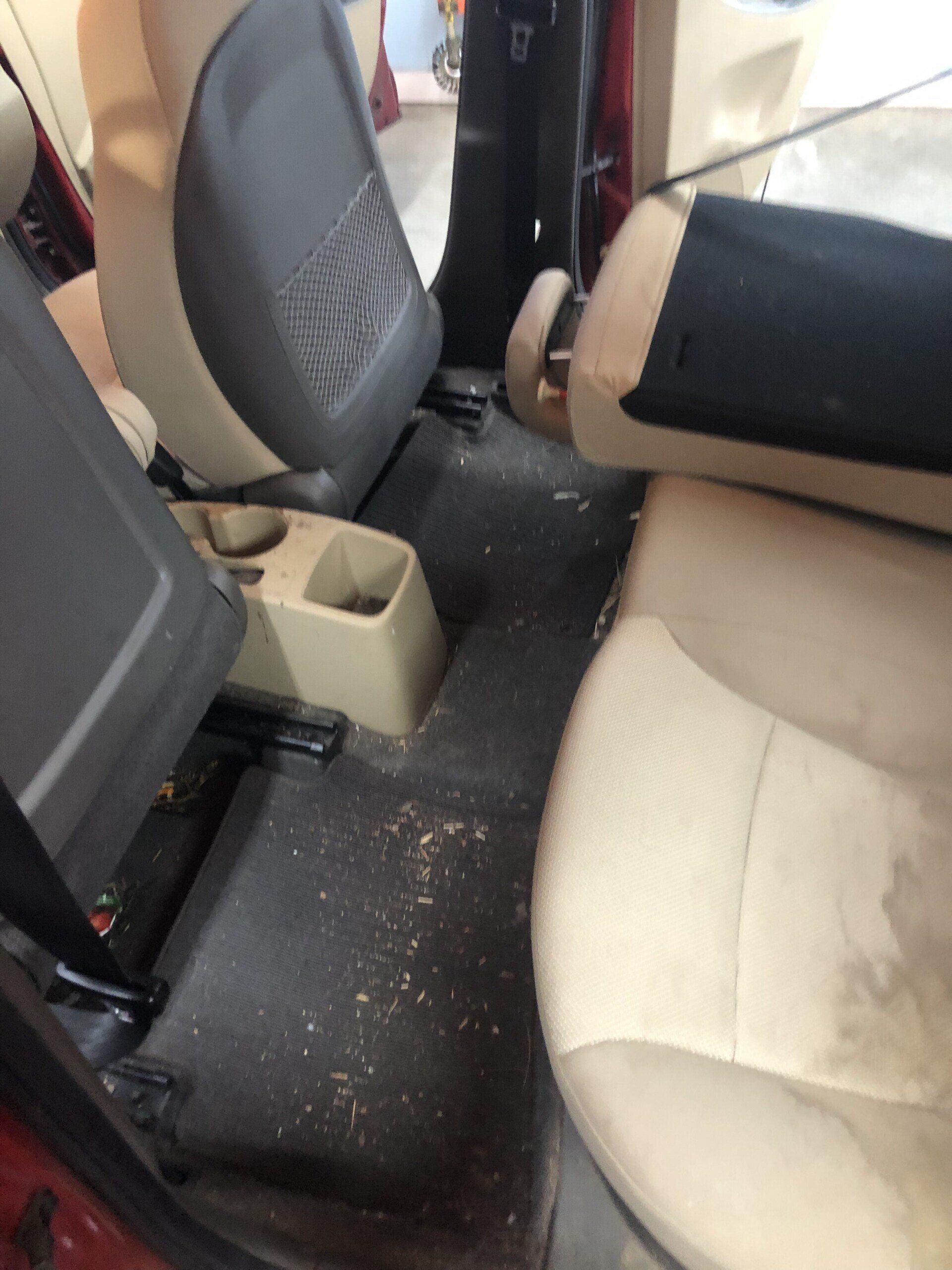 odor removal car detailing