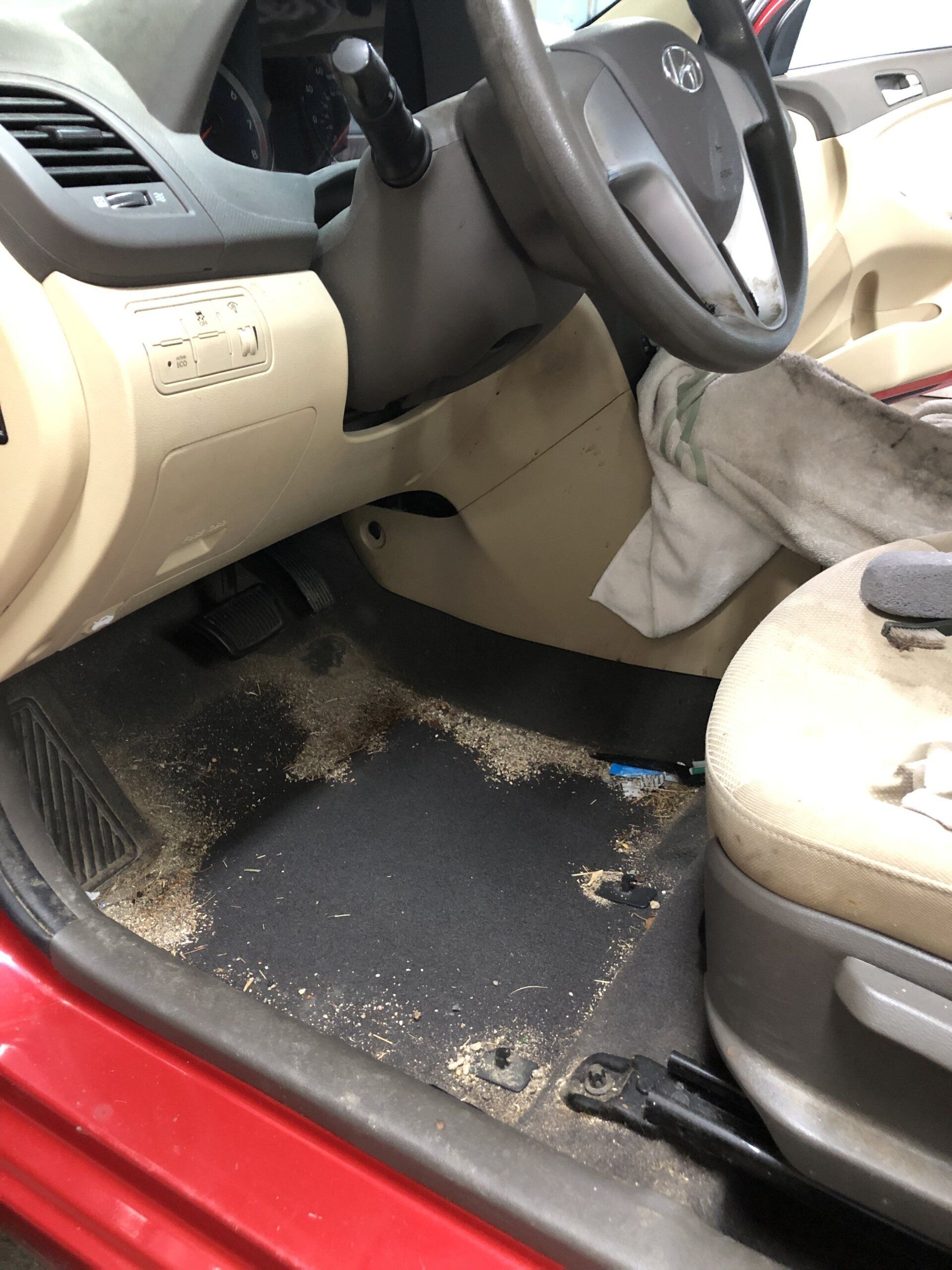interior reconditioning