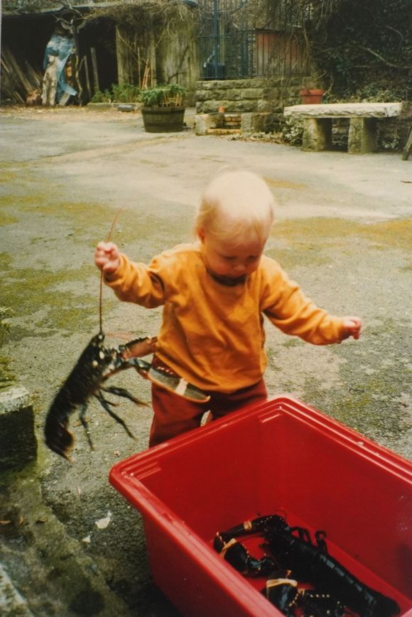 Child in orange shirt holding up a lobster with a red bin containing other lobsters in a rustic outdoor setting.