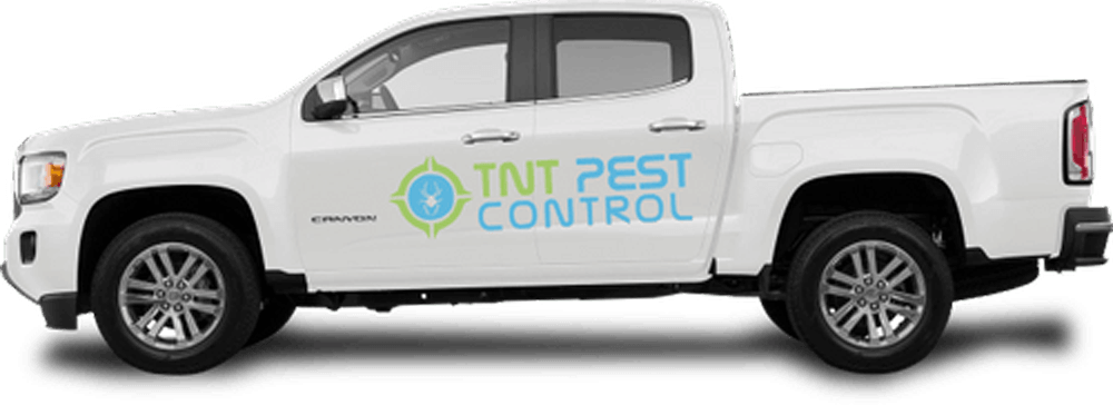 TNT Pest Control Company - Vehicle Image