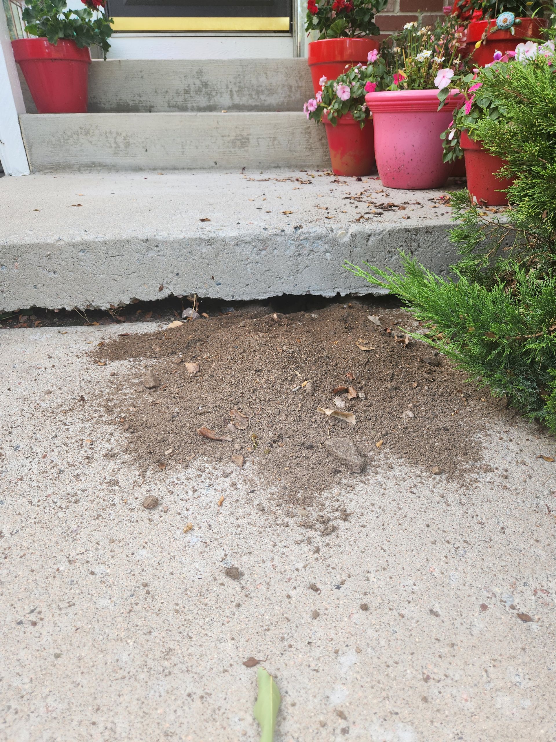 A close up of a gutter on a roof with a lot of leaves on it.