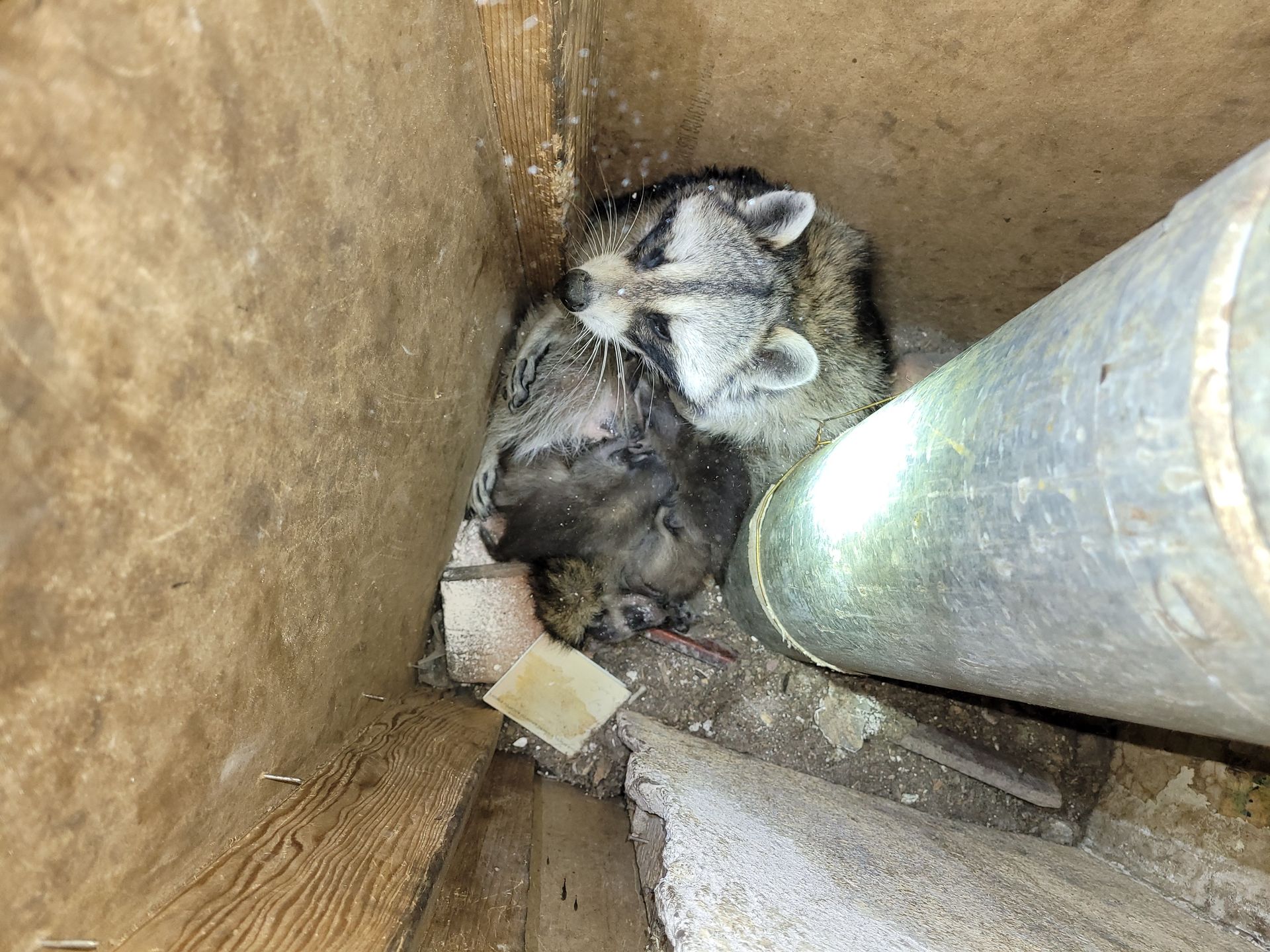 A row of solar panels sitting on top of a roof next to a gutter.