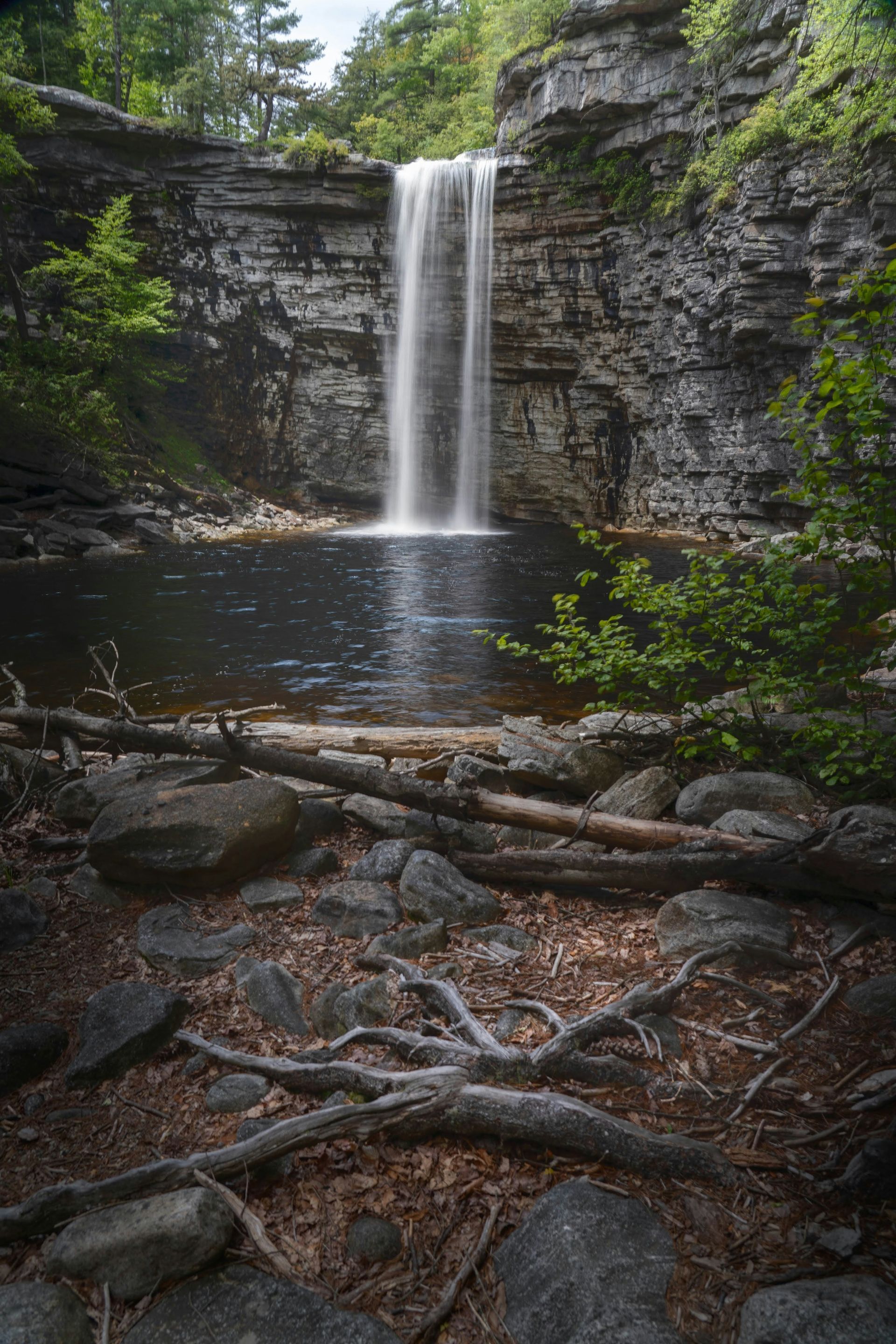 Waterfall cascading into a dark pool, surrounded by gray rock, green trees, and fallen logs.