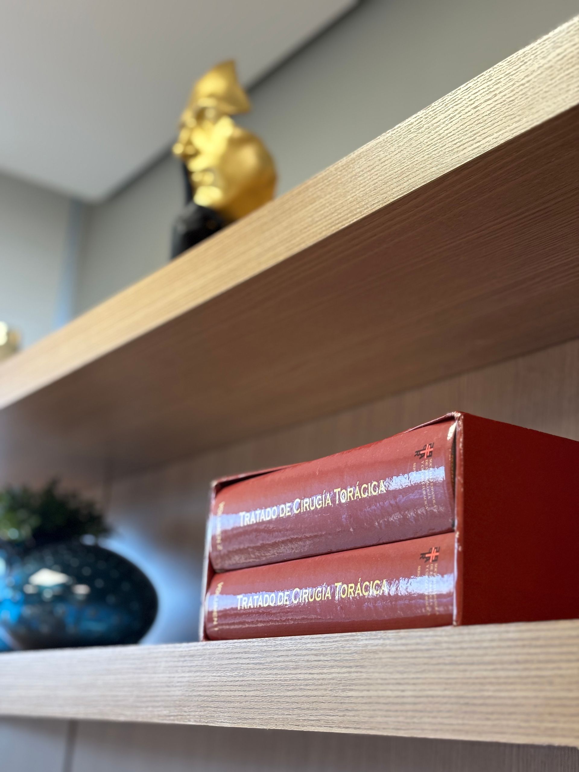 Dois livros estão empilhados um sobre o outro em uma prateleira