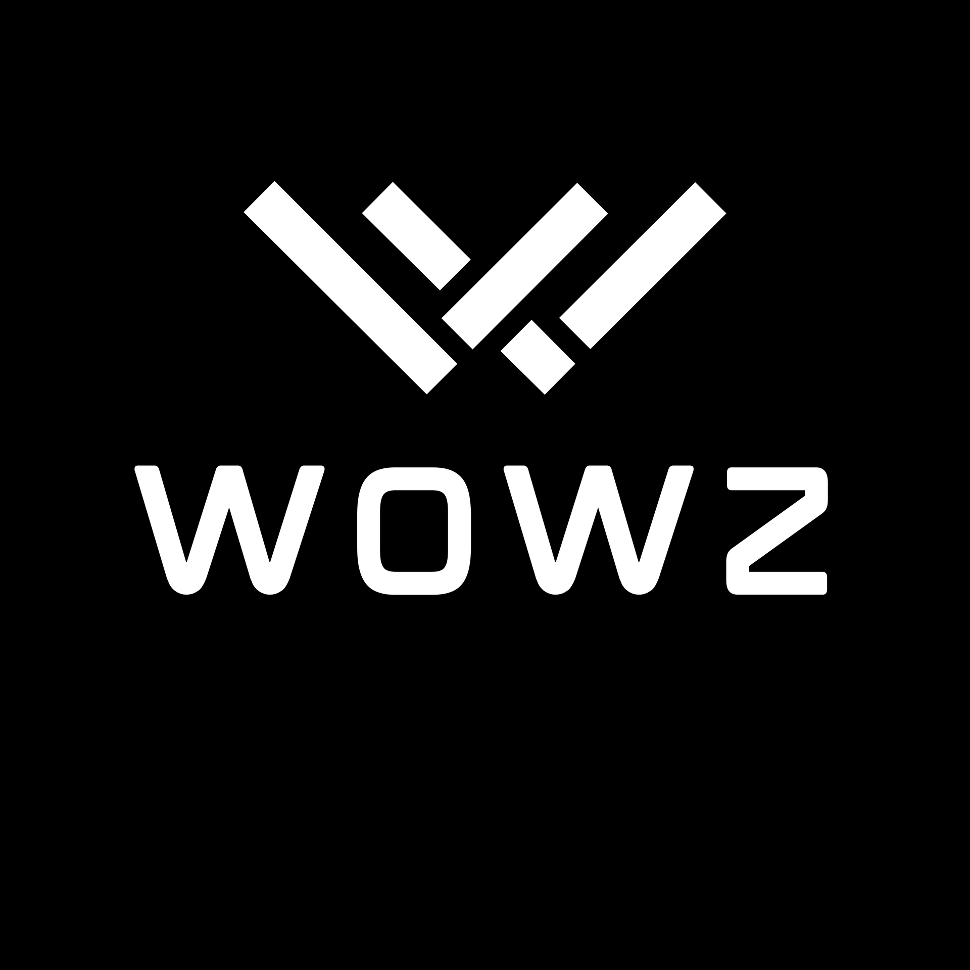 Wowz Digital Agency - Synergizing Success with Innovative solutions