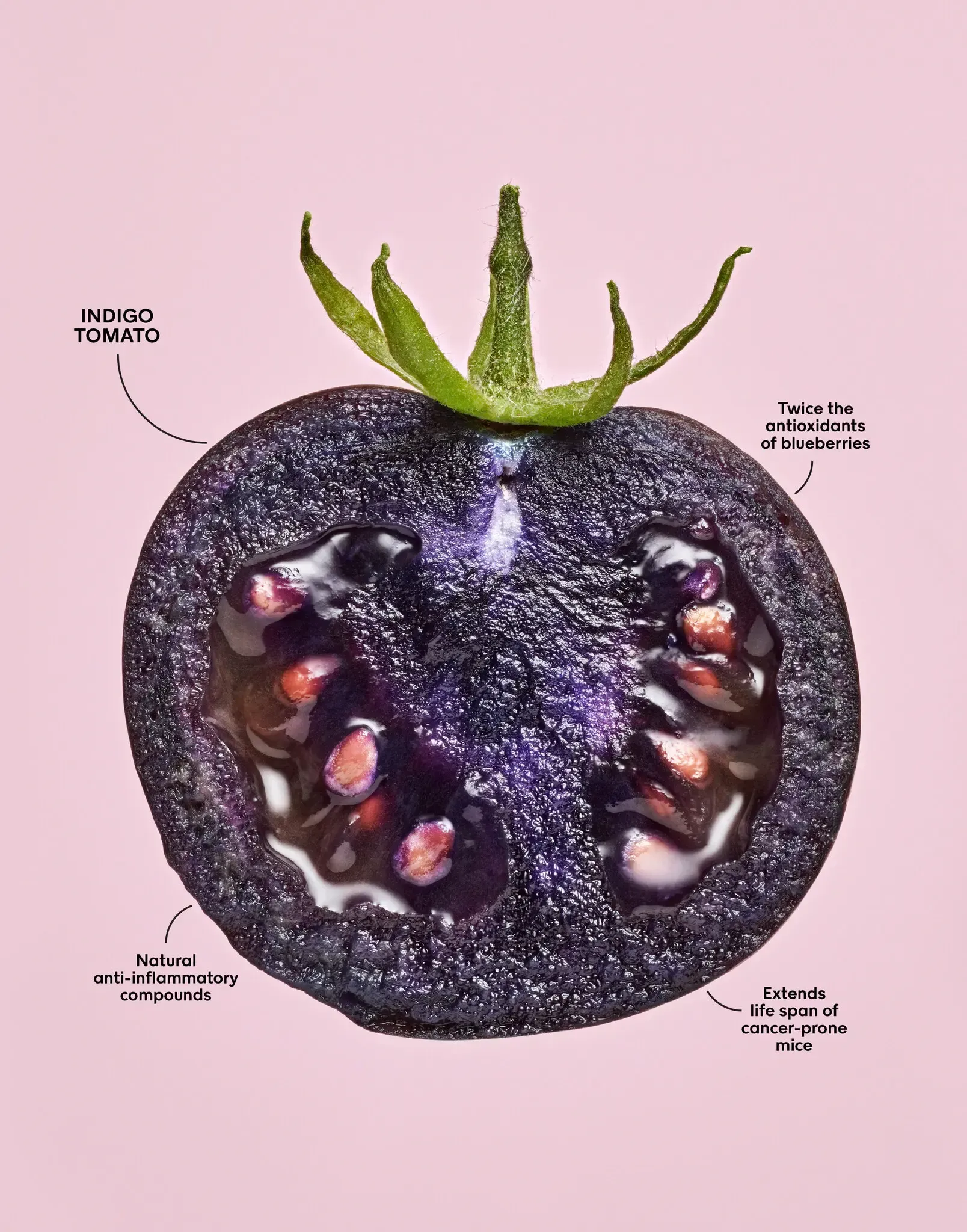 image of The Purple Tomato, from Norfolk Healthy Produce. A client of Wild Rise.
