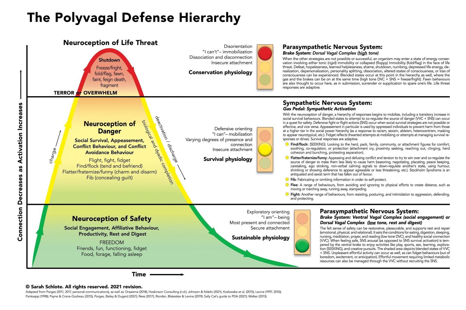 image of the polyvagal defense hierarchy infographic