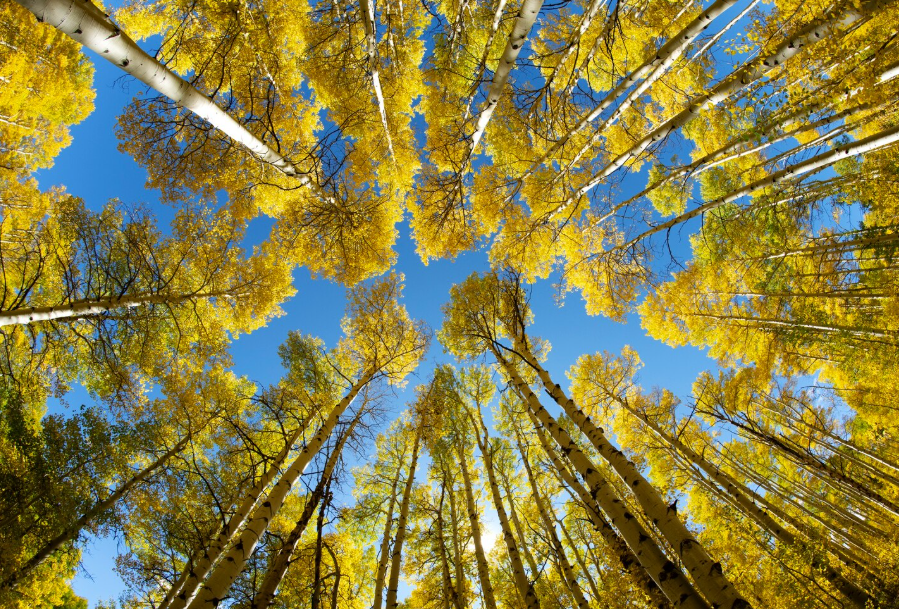 A canyon with a light coming out of the middle of it.