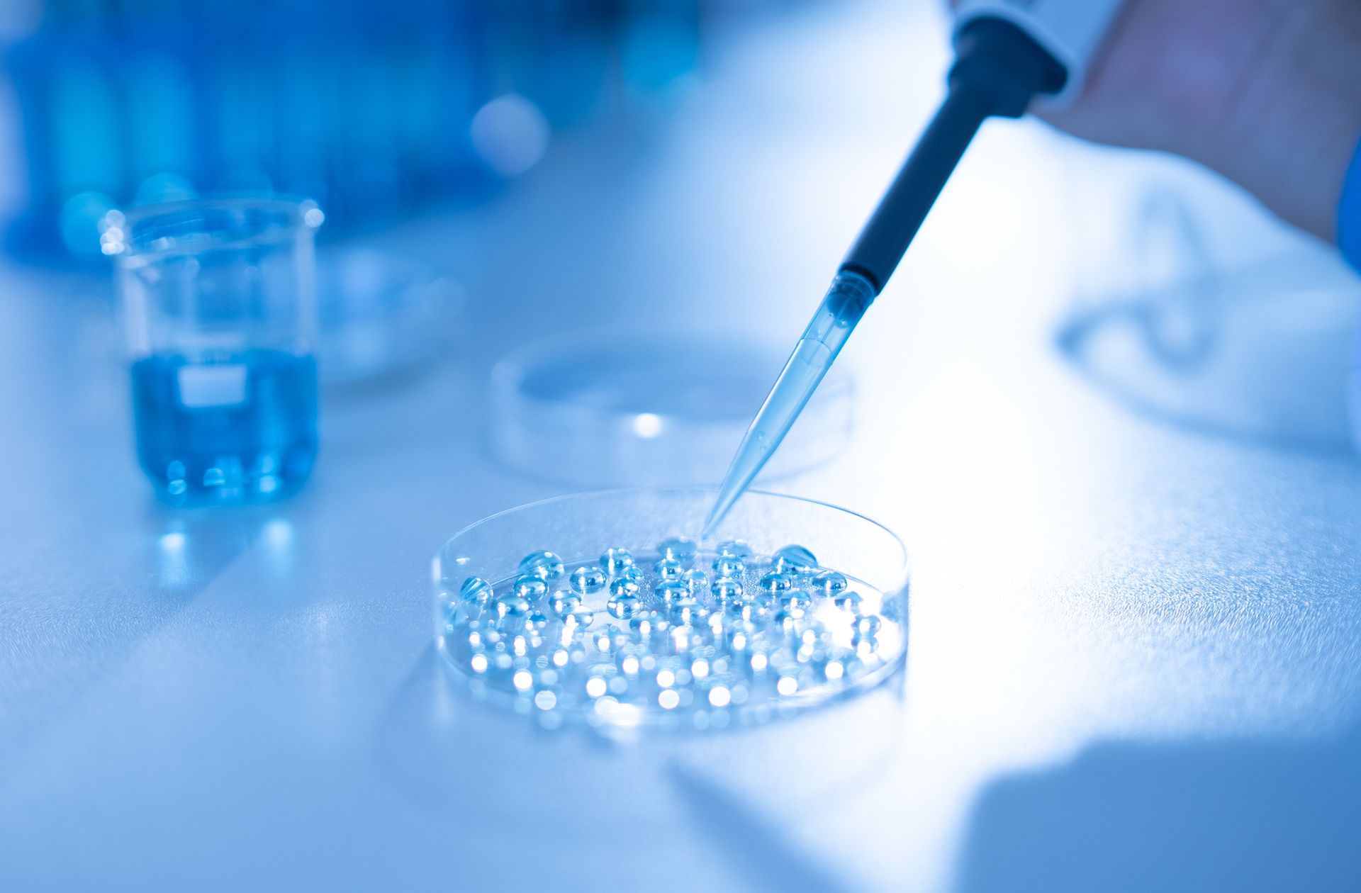 Una mano con una pipetta distribuisce il liquido su sfere trasparenti in una capsula di Petri su un tavolo da laboratorio; tonalità blu.