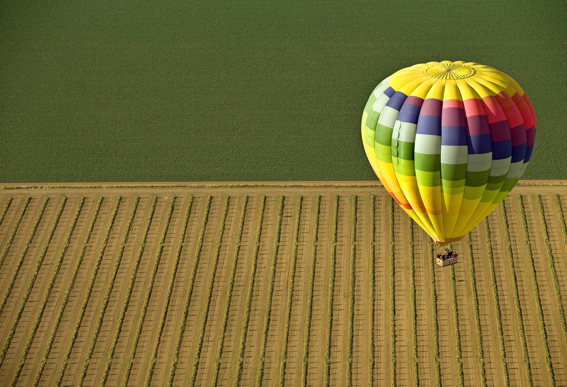 Aerial photograph of air ballon as part of a company celebration