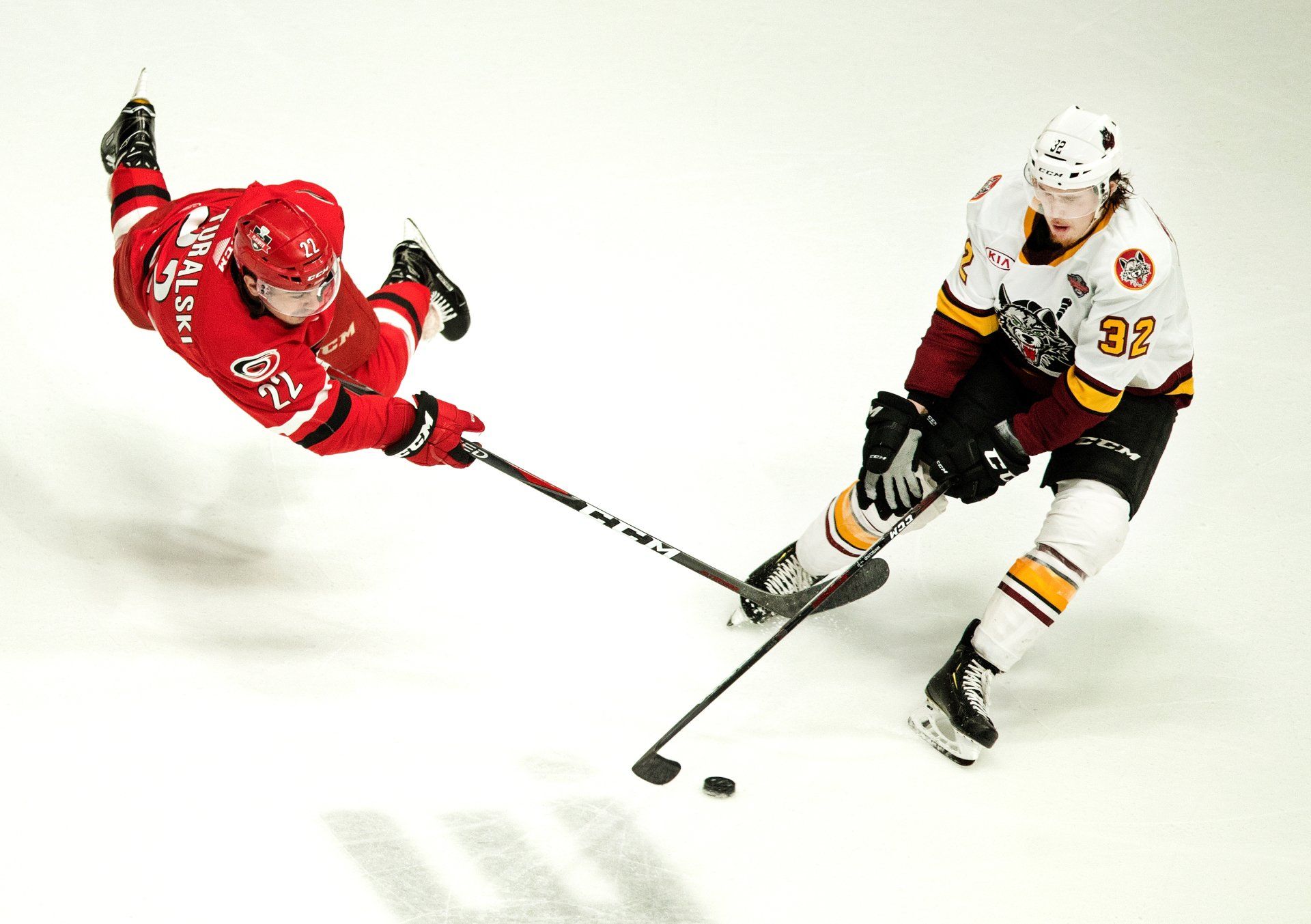 Charlotte Checkers hockey action at the AHL Finals