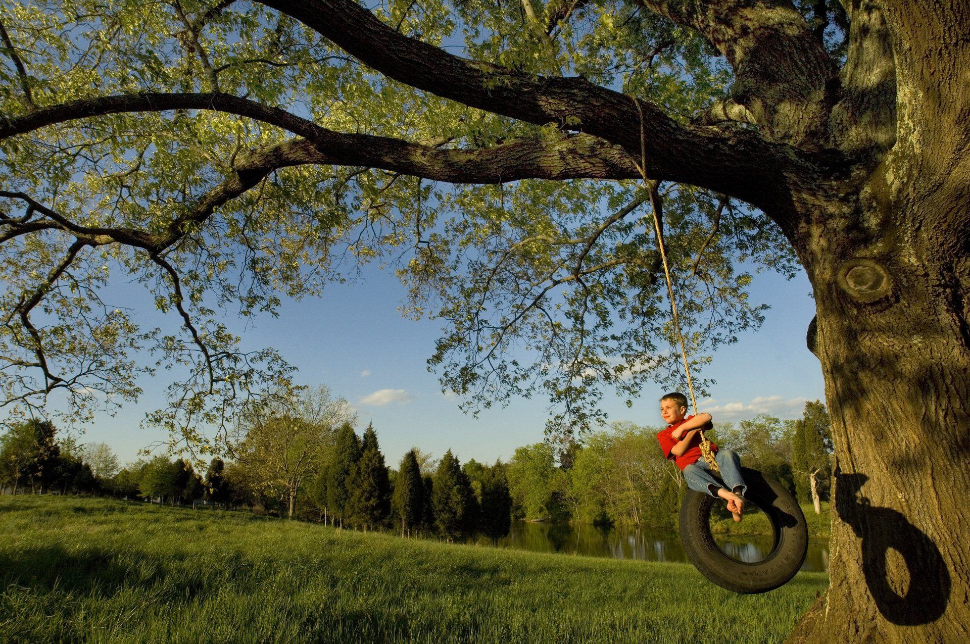 A boy swings on a tire beneath a large oak tree