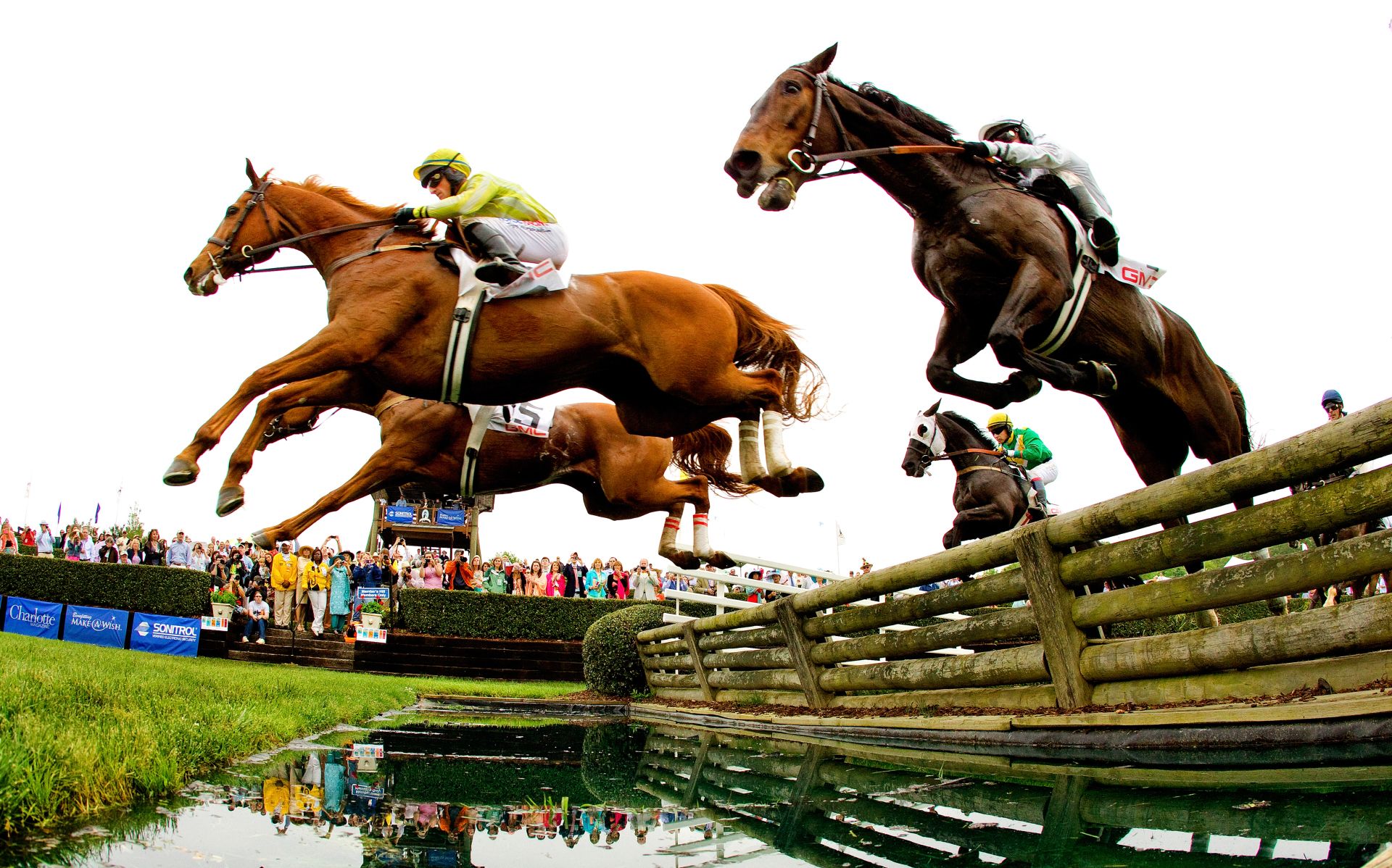 The Charlotte, NC Queen's Cup equestrian event