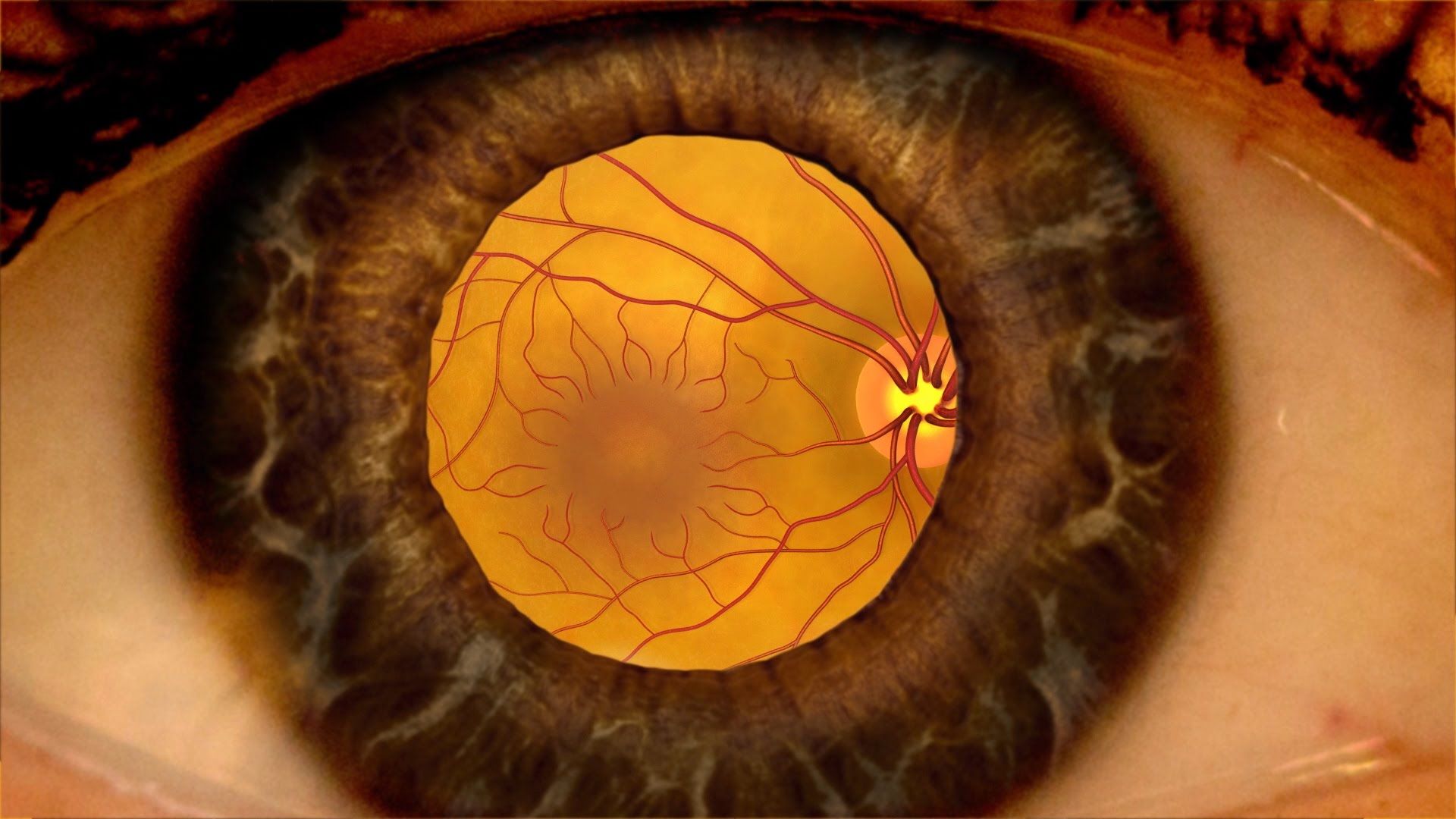 Philosophy Of A Comprehensive Dilated Eye Examination