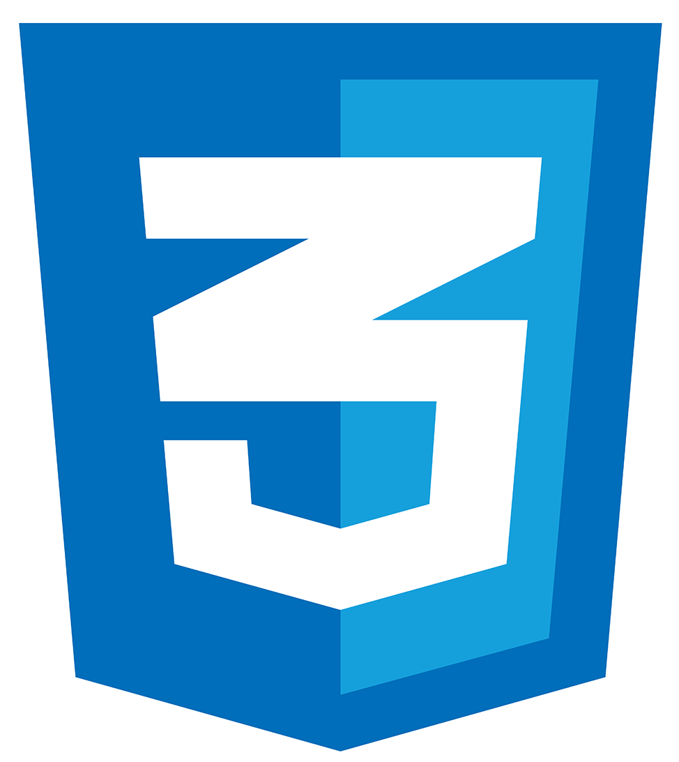 CSS logo