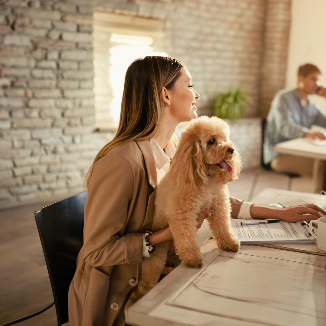 A woman is sitting at a desk with a small dog on her lap.