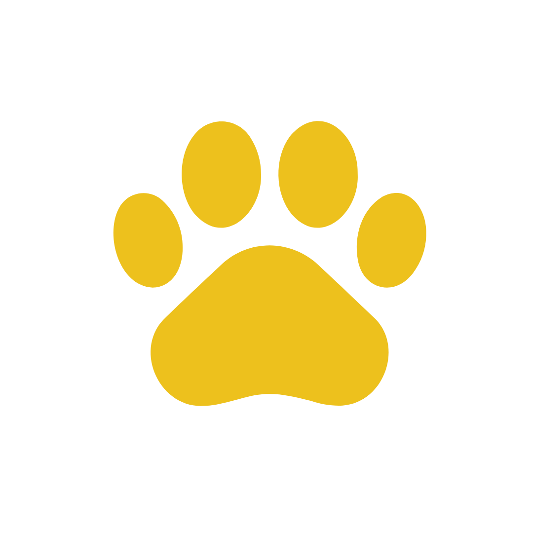 A yellow paw print on a white background