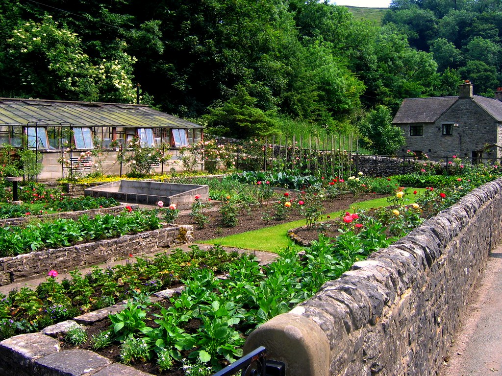 Stone walled garden with roses and greenhouse, small house in background.